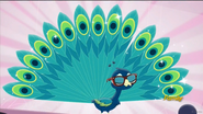 Basil'sShinyFeathers