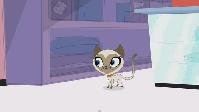 File:ScreenCapture 07.08.13 1-28-57.jpg