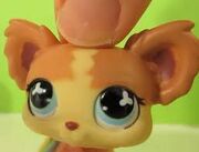 Cute ali
