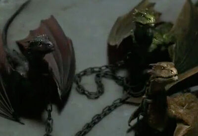 Baby Dragons