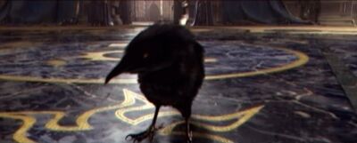 Medivh Crow