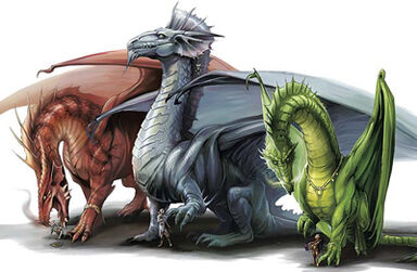 Dragons - Eva Widermann