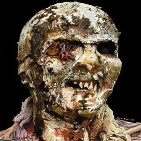 File:Zombi Conqu.jpg