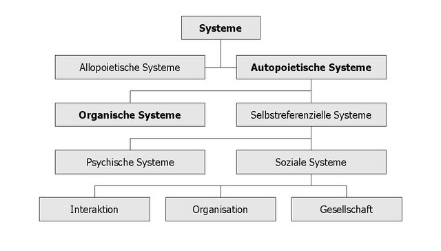 Datei:Systems Organism.jpg