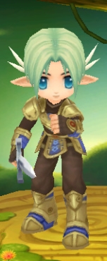 Elves