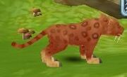Red leopard