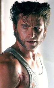 Hugh Jackman as Wolf