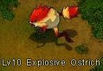 Explosive Ostrich