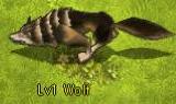 Wolf (Level 1)