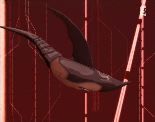 Plik:Shark.jpg