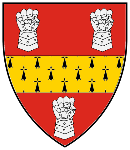File:ArmsWayne.png