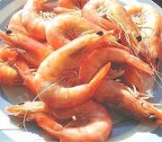 Cooked-ocean-king-prawns