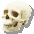 Mr Skull