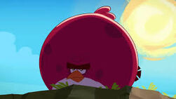 Terrence
