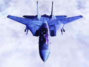 F-14 Tomcat.jpg