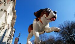 Beethoven the Dog