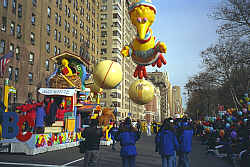 File:Big Bird 2.jpg