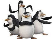 Die pinguine aus madagascar