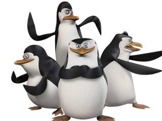 Die pinguine aus madagascar.jpg