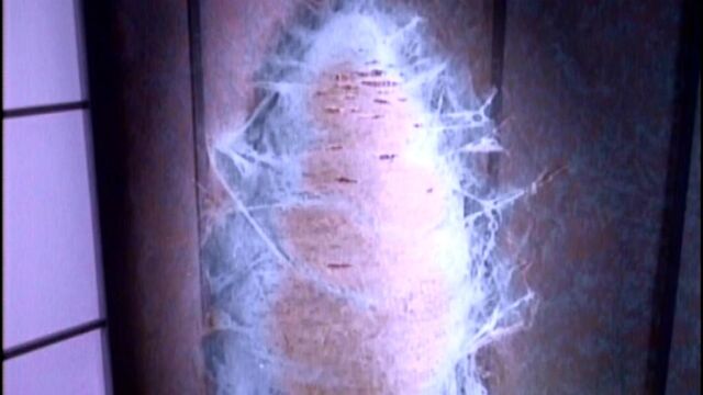File:Chrysalis-08.jpg