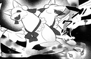 Zeiiko.png