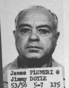 Plumeri2311