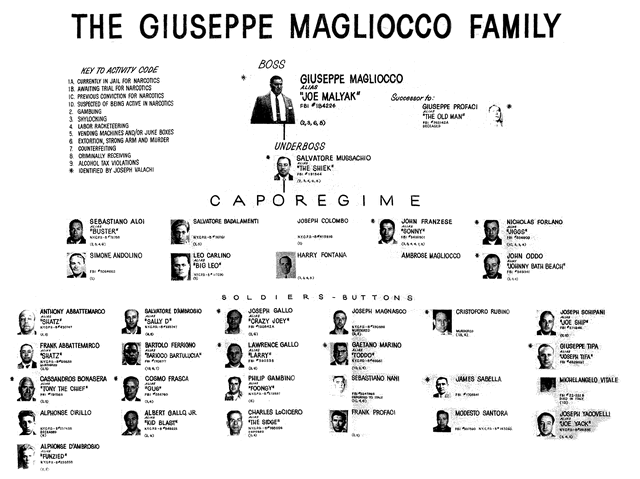 File:Magliocco-chart.gif