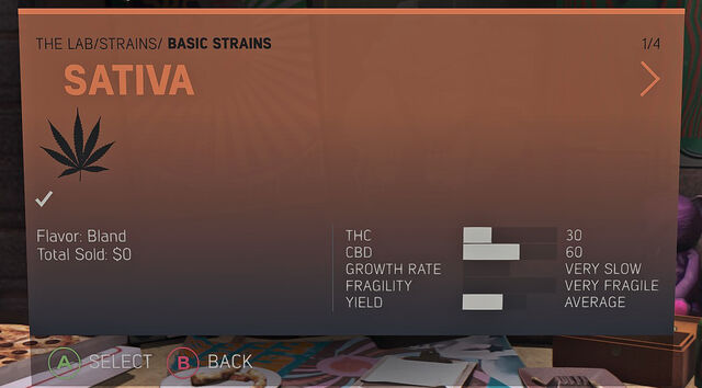 File:Sativa Basic.jpg