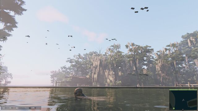 File:Floating Debris Bug.jpg