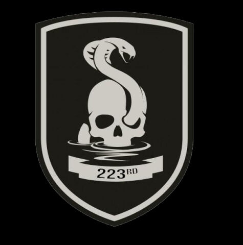 File:223rd Logo.jpg