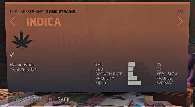 File:Indica Basic.jpg