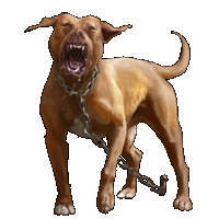 Huge item pitbull 01