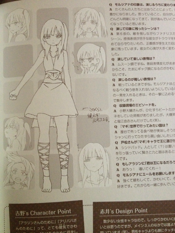 File:FFanbook PV2.png