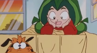 Pet