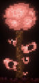 Thumbnail for version as of 20:14, February 16, 2014