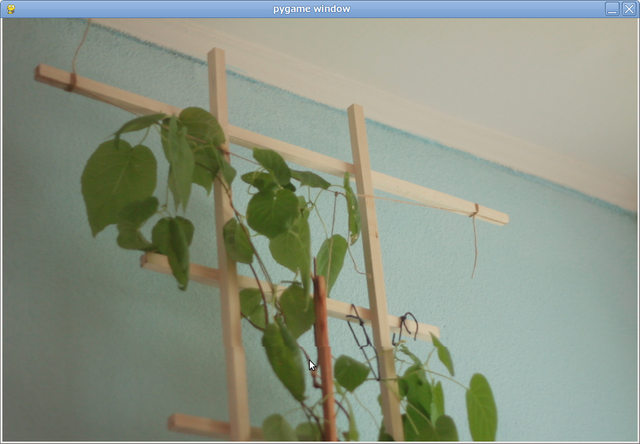 File:Piggyphoto-preview.png