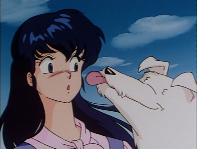 File:HiDamari9.png