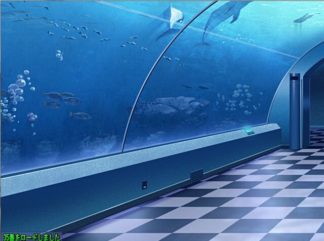 File:Aquaria.jpg