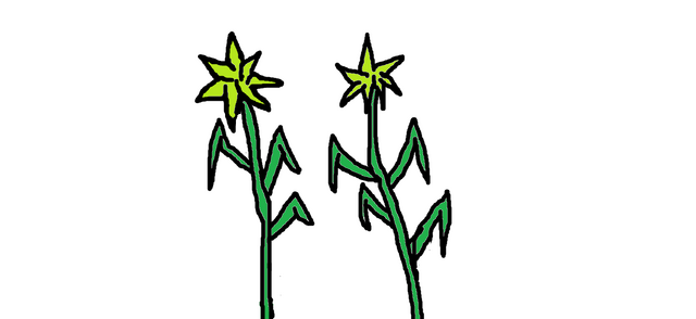 File:Sticker plants.png