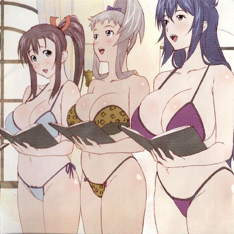 File:HarukoChachaAkiBikinis.jpg