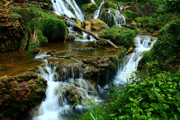 Landscape