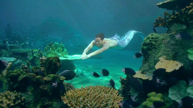 File:Mako Mermaids Music Video 14760.jpg