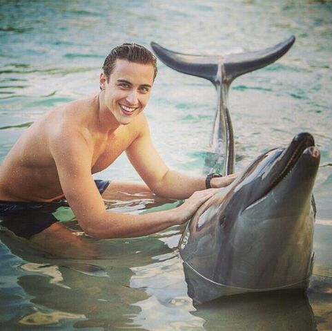 File:Chris and dolphin.jpg