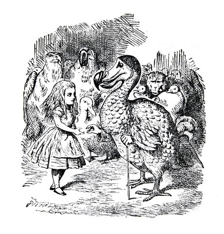 File:Dd.jpg