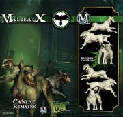 CanineRemains