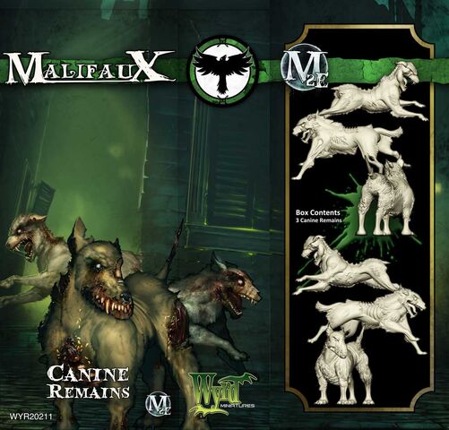 Файл:CanineRemains.jpg