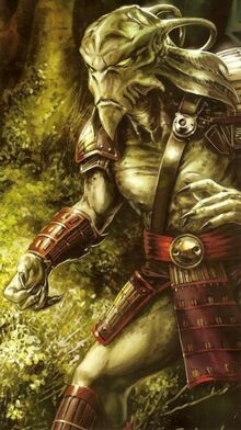 400px-TaungMartialArtsMaster-GAW