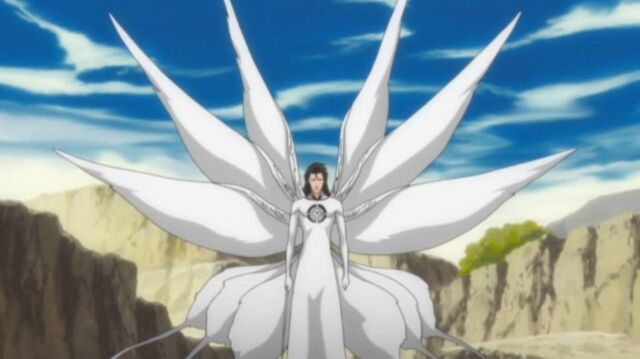 File:Aizen 3rd form.jpg