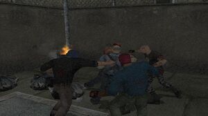 Brawl