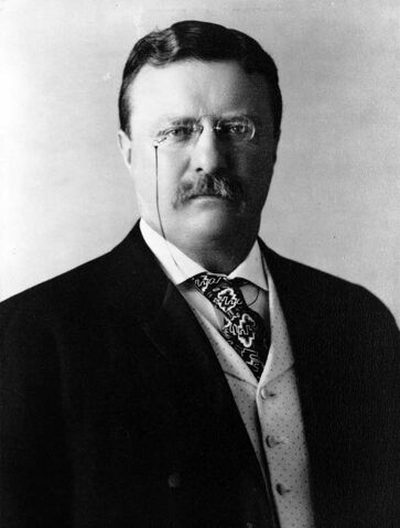File:Theodore Roosevelt Large.jpg